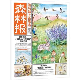 候鸟踏上新旅途