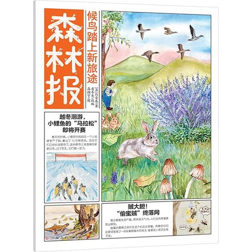 候鸟踏上新旅途 商品图0