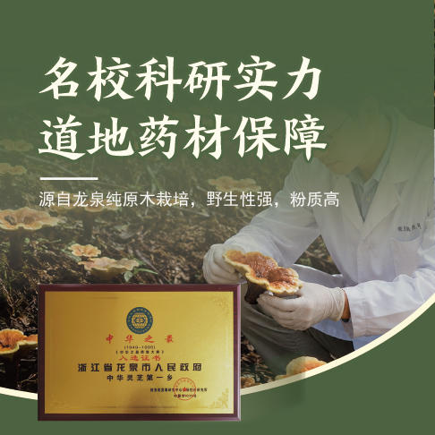 【粉质细腻 破壁好吸收】孙泰和 破壁有机灵芝孢子粉 甄选原料 营养更易吸收 60g/盒 商品图3