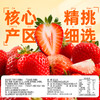 【百草味】草莓干 100g 商品缩略图2