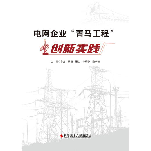 电网企业青马工程创新实践 商品图1