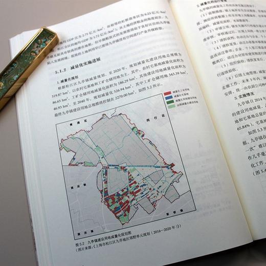 大都市地区减量规划治理研究 商品图3