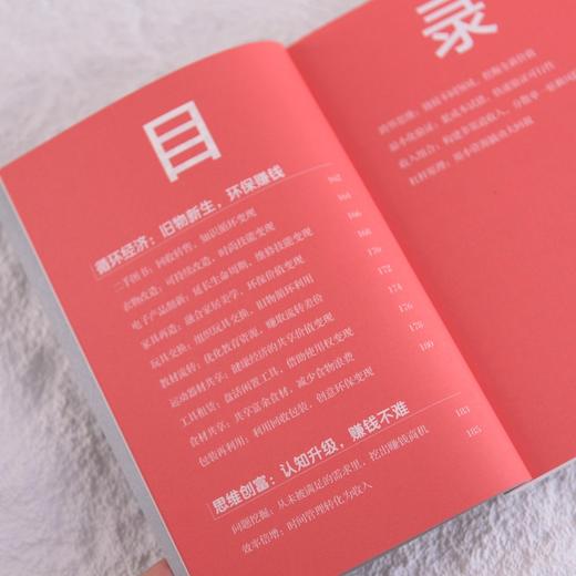 赚小钱就这么简单（口袋版） 双色图解口袋版 近百个赚小钱方法构建灵活多元的收入组合 投资理财书籍 商品图3