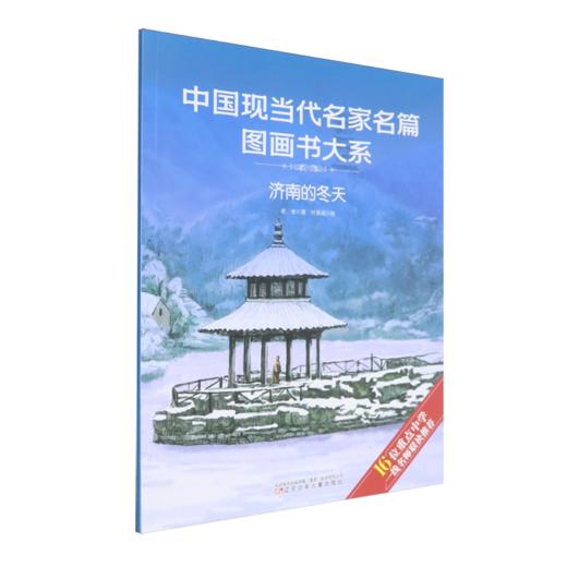 济南的冬天 商品图0