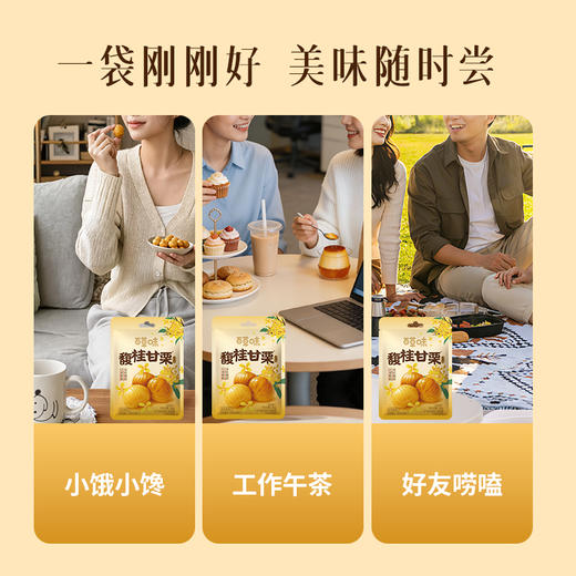 【百草味】桂花板栗仁36g 商品图2