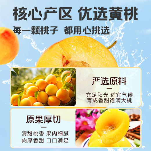 【百草味】黄桃干 100g 商品图1