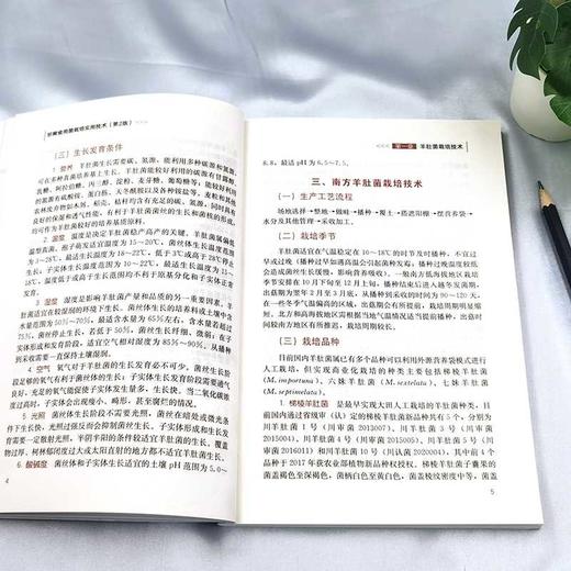 珍稀食用菌栽培实用技术(第2版) 商品图2