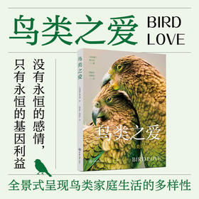 鸟类之爱