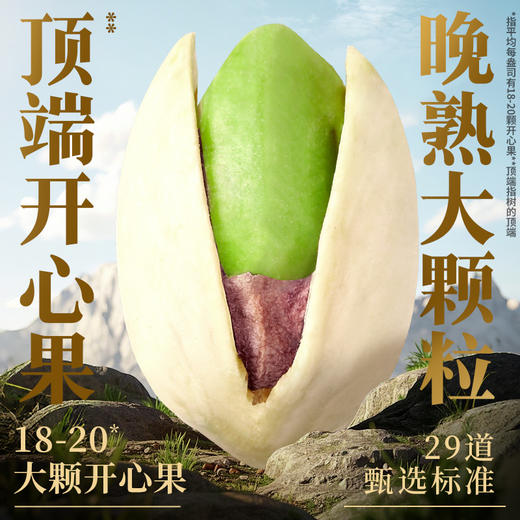 【百草味】本味甄果系列-开心果400g（罐装） 商品图2
