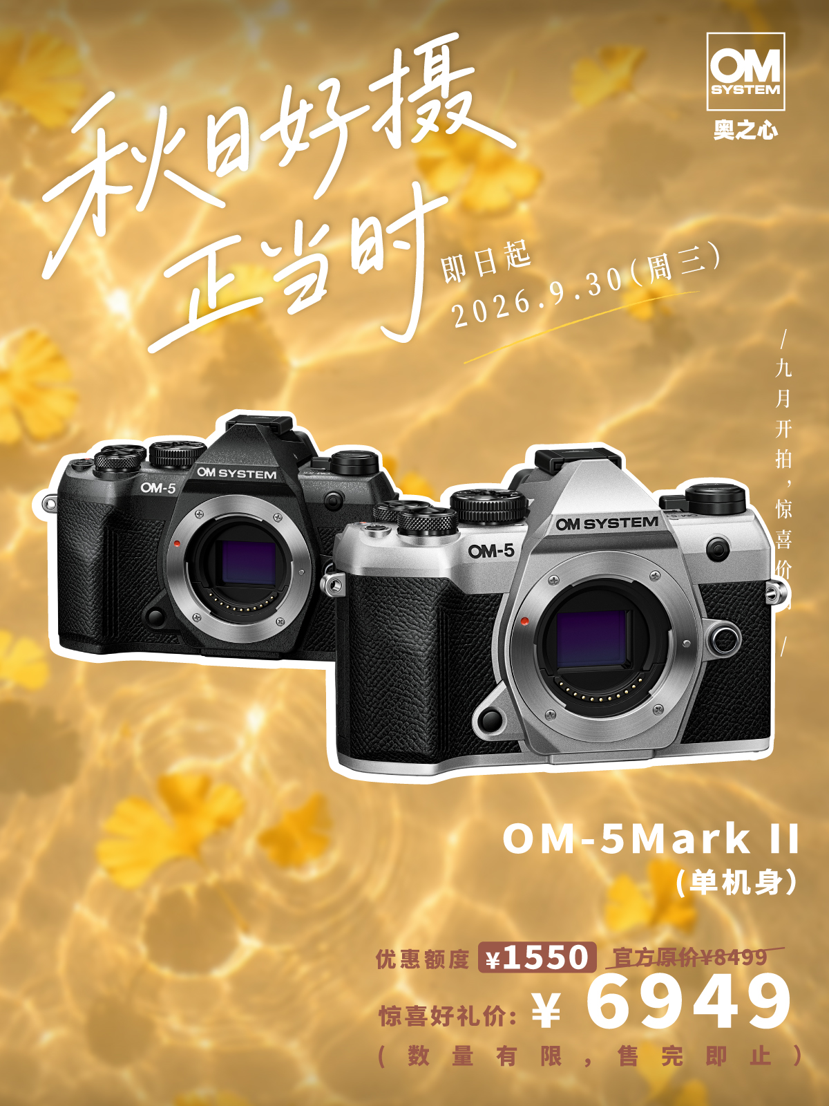 OM SYSTEM OM-5 Mark II 单机身