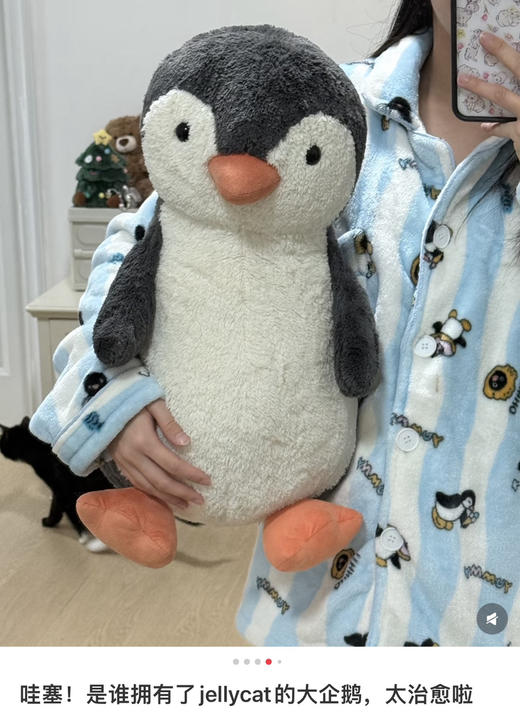 Jellycat正品花生企鹅毛绒玩偶公仔090202 商品图11