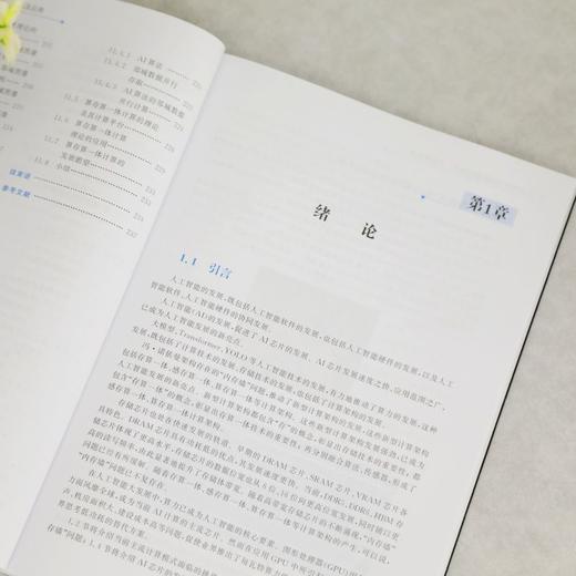 算存算一体计算的理论.方法及应用 商品图4