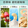 【百草味】腰果仁（轻海盐味）400g罐装 商品缩略图3
