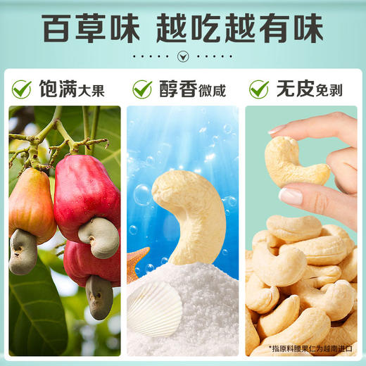 【百草味】腰果仁（轻海盐味）400g罐装 商品图3