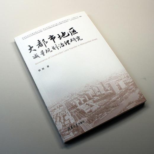 大都市地区减量规划治理研究 商品图4