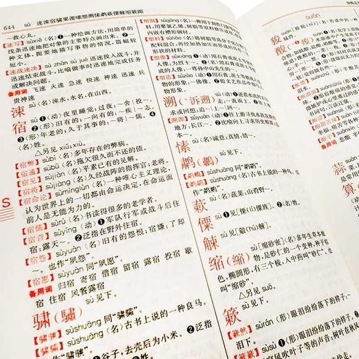 60000词现代汉语大词典(双色版) 商品图3