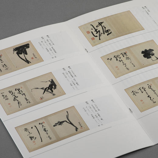 画苑掇英·八大山人花鸟册两种 商品图5