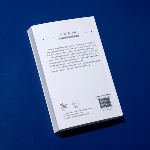 父之名的除权:拉康视角下的精神病 商品图4