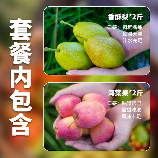 【送礼必备】时令水果礼盒 应季新鲜自然熟海棠果红香酥梨精品水果礼盒   节日礼盒 可支持企业定制 商品图1