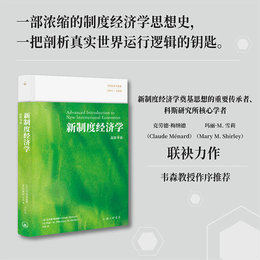 新制度经济:高阶导论 商品图0