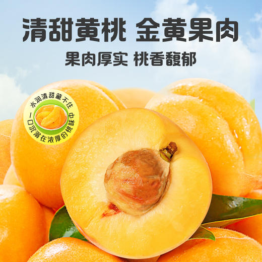 【百草味】黄桃干300g 商品图3