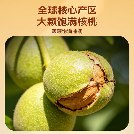 【百草味】蜂蜜琥珀核桃仁 500g（罐装） 商品图3