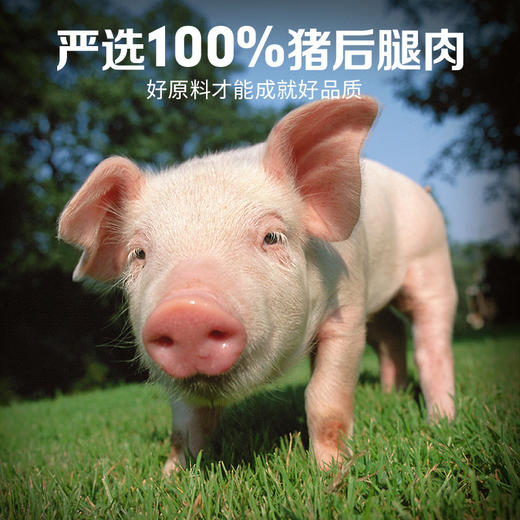 【百草味】肉香小烤肠 60g（烟熏味） 商品图1