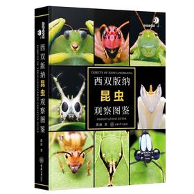 西双版纳昆虫观察图鉴