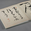 画苑掇英·八大山人花鸟册两种 商品缩略图3