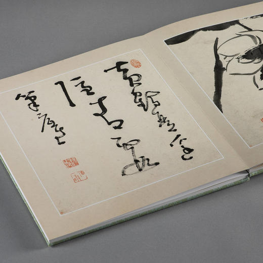 画苑掇英·八大山人花鸟册两种 商品图3