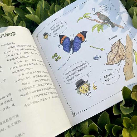 法布尔老师的昆虫教室(平装版)(全3册) 商品图3