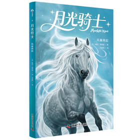 月光骑士.风暴再起