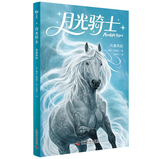 月光骑士.风暴再起 商品图0