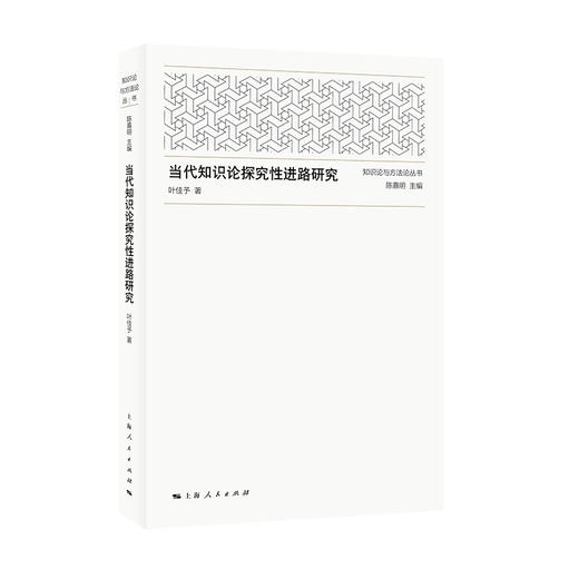 当代知识论探究性进路研究 商品图0