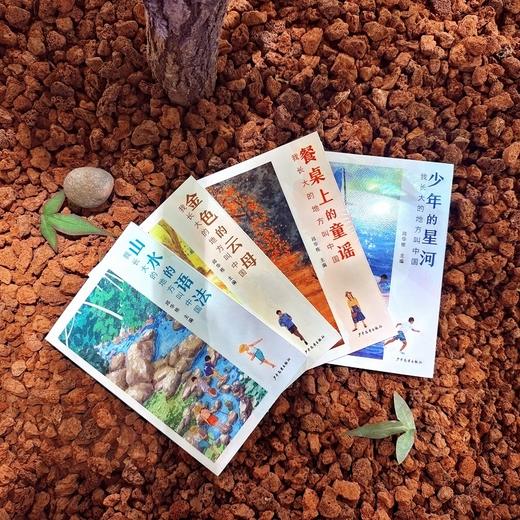 我长大的地方叫中国.金色的云母 商品图4