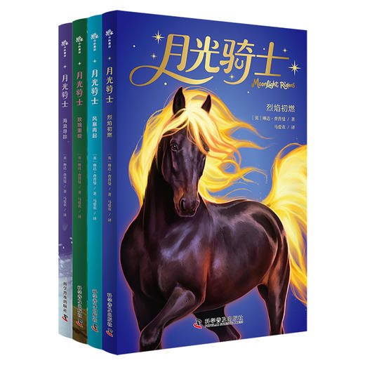 月光骑士.风暴再起 商品图2
