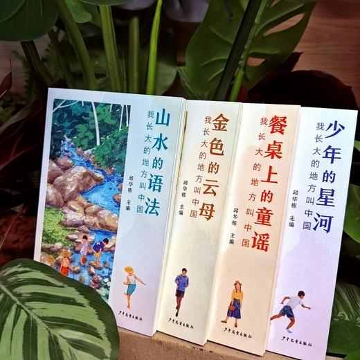 我长大的地方叫中国.少年的星河 商品图3