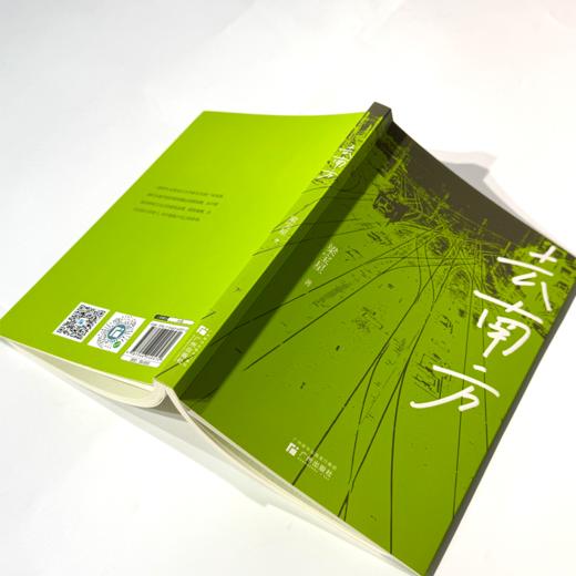 去南方 商品图2