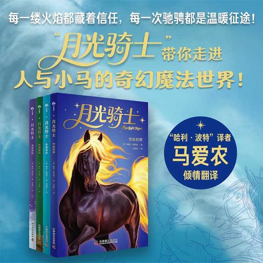 月光骑士.风暴再起 商品图1