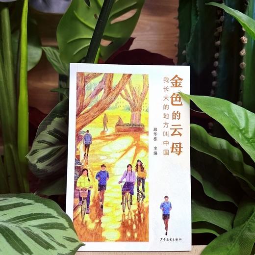 我长大的地方叫中国.金色的云母 商品图1