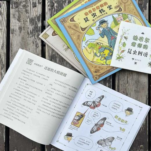 法布尔老师的昆虫教室(平装版)(全3册) 商品图2