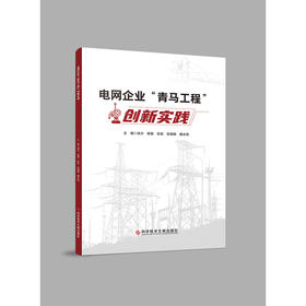 电网企业青马工程创新实践