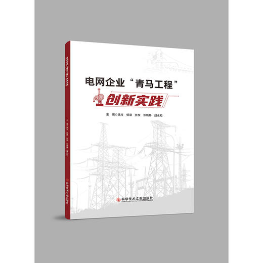 电网企业青马工程创新实践 商品图0