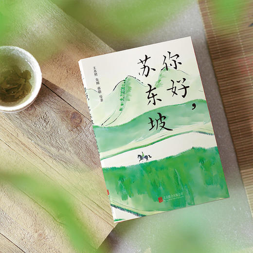 你好,苏东坡 商品图1