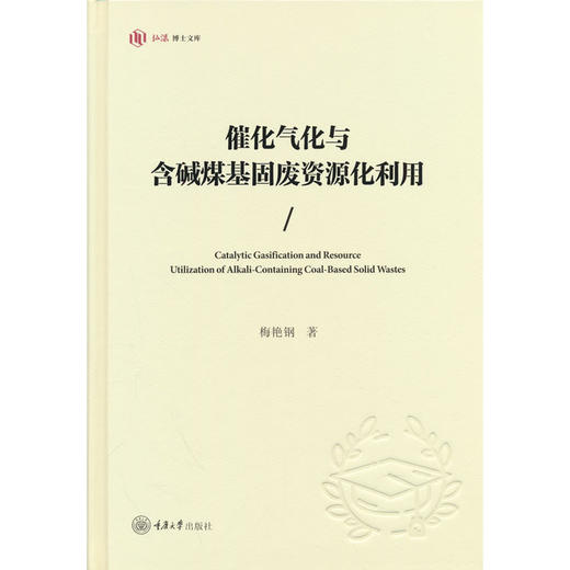 催化气化与含碱煤基固废资源化利用 商品图0