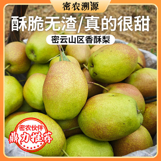 农文旅消费劵专属链接 商品图0