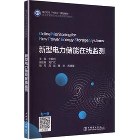 新型电力储能在线监测