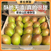 【送礼必备】红香酥梨6斤礼盒装  密云特产  酥脆无渣  香甜爽口  库尔勒香梨 新鲜水果 商品缩略图0