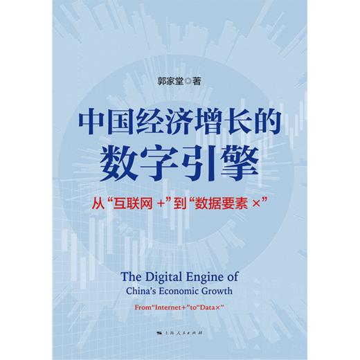 中国经济增长的数字引擎:从互联网 到数据要素X 商品图1