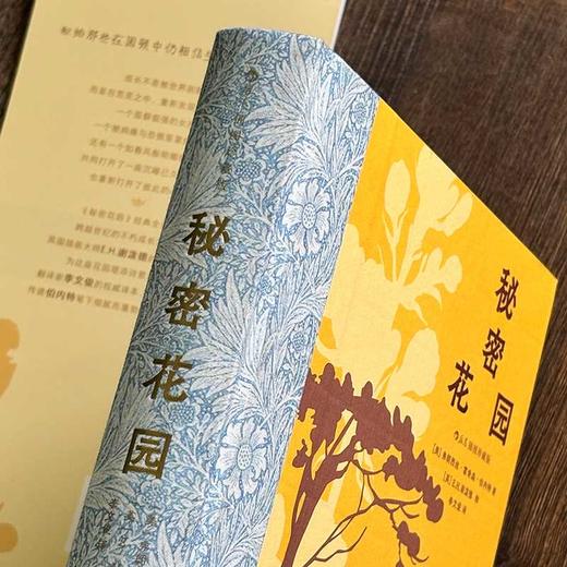 秘密花园:插图珍藏版 商品图4